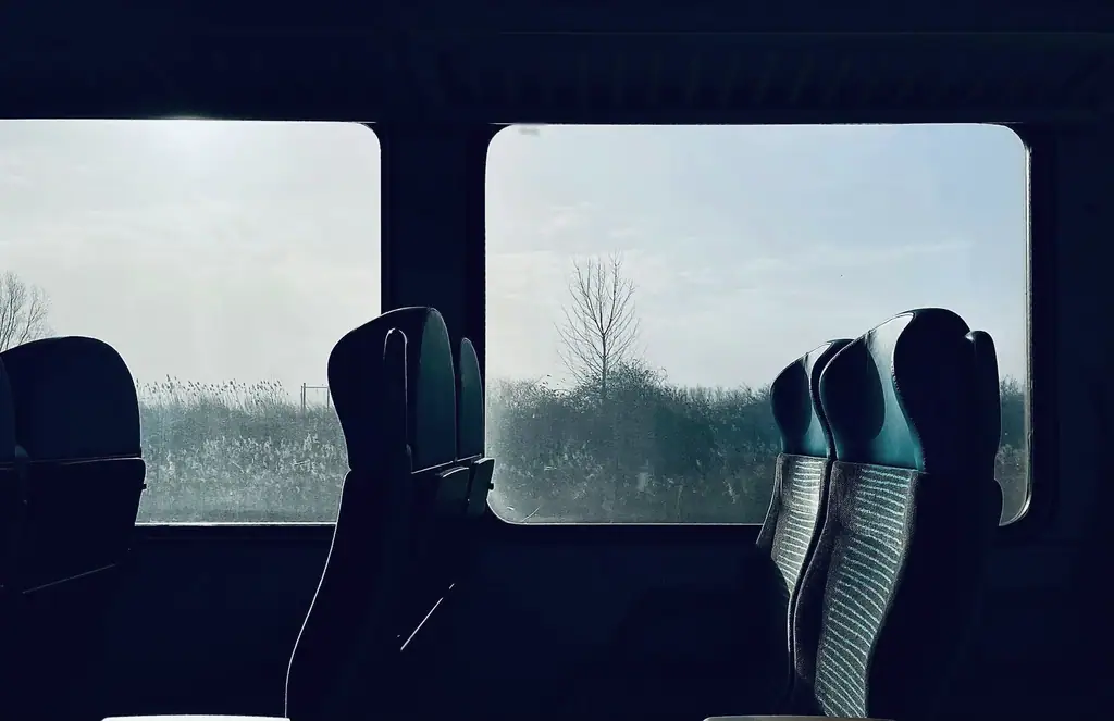 Lege stoelen in een trein als silhouet voor twee ramen, buiten riet, een kale boom en een heiige winterlucht